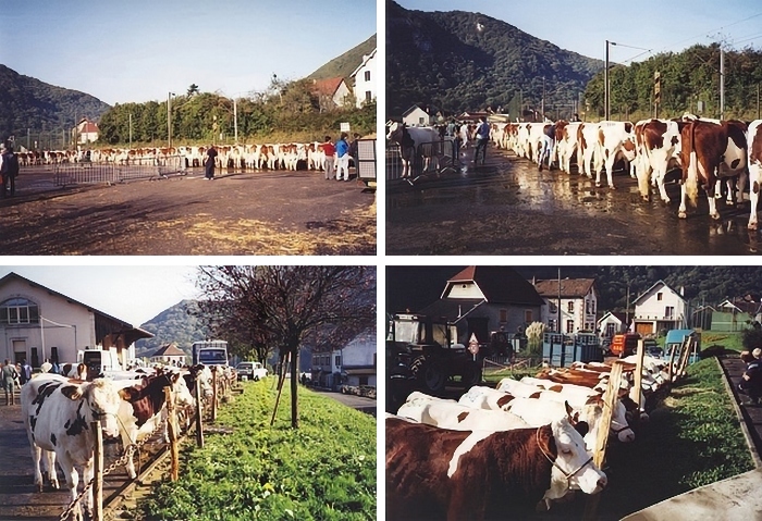 [Comice agricole]